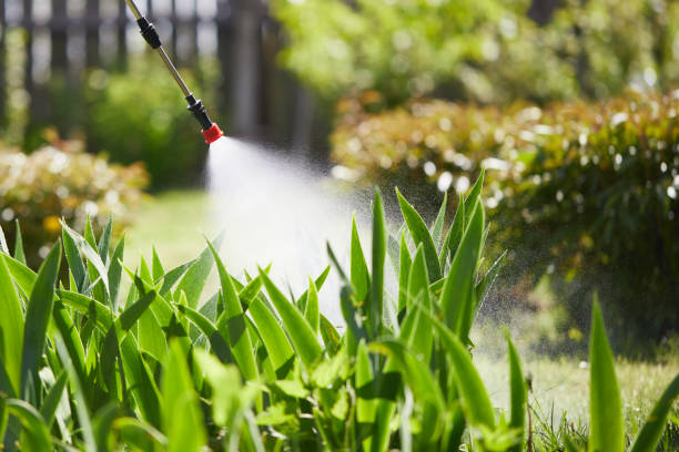 Tamper-Resistant Bait Stations for Rodents in Santa Paula